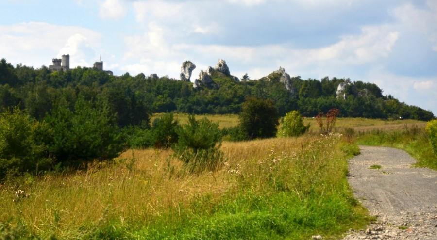 Zamek ogrodzieniecki