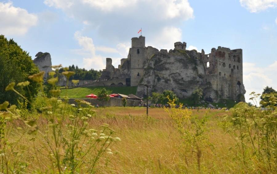 Zamek Ogrodzieniec cd
