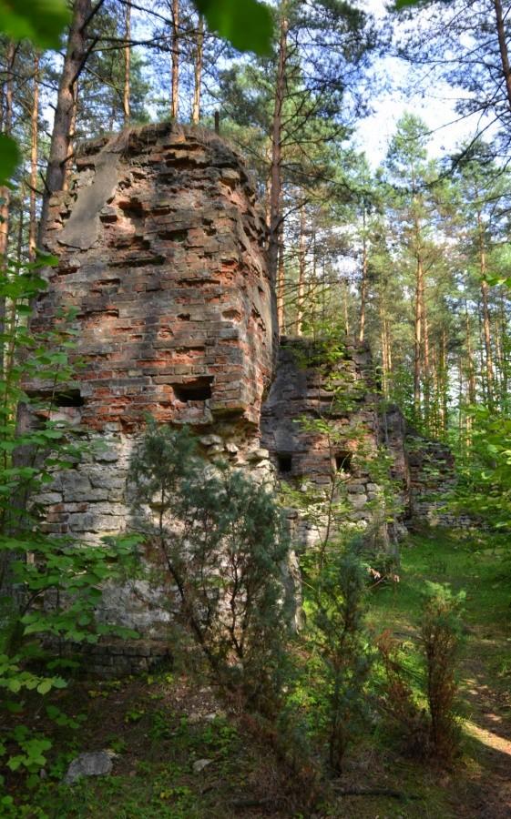 Ruiny prochowni w okolicach ogrodzieńca