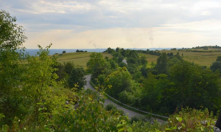 Widok ze skałek w kierunku dąbrowy Górniczej