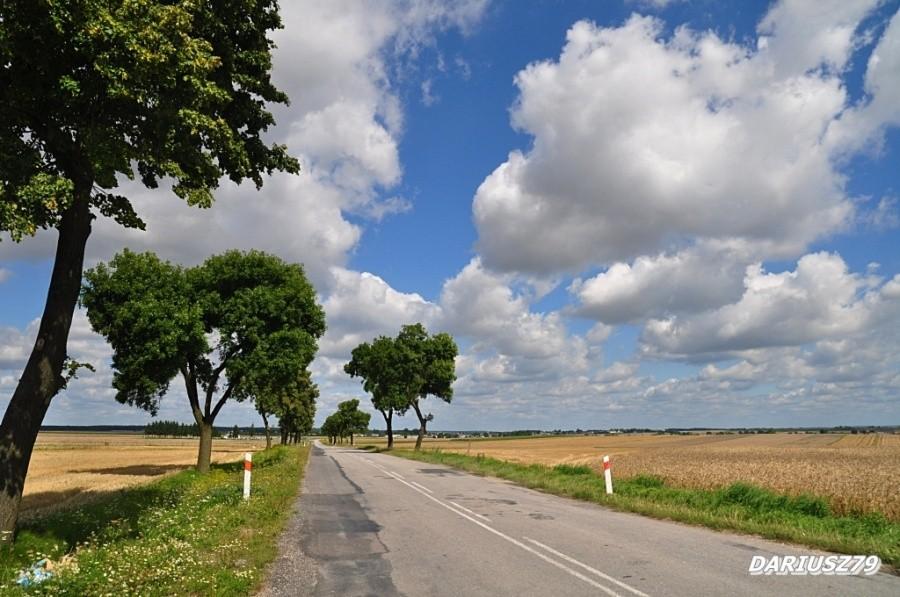 Łysaków droga 768 kierunek Jędrzejów