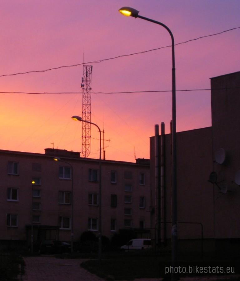 Wierzonka skąpana ciepłem barw.