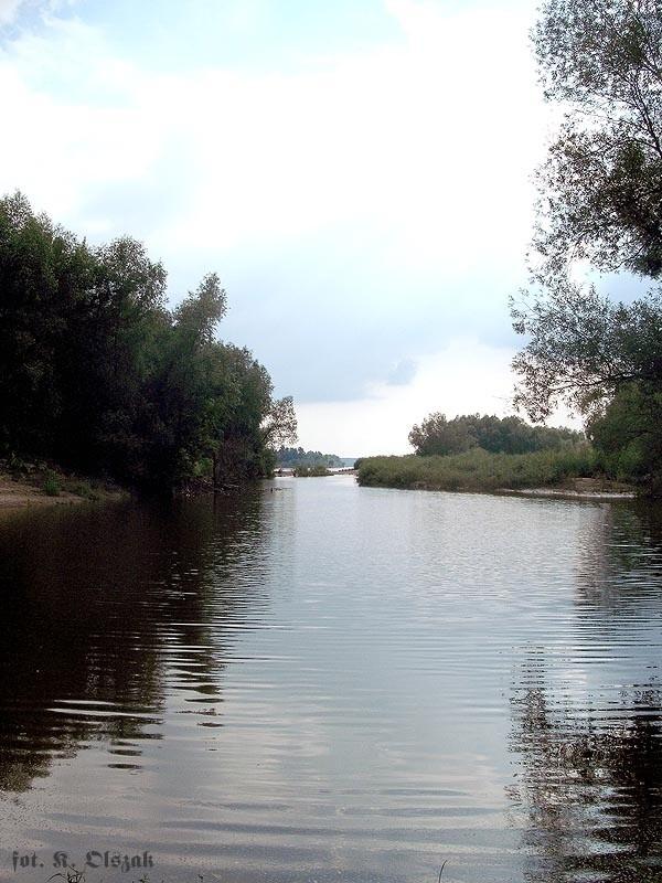 Na środku Wisły