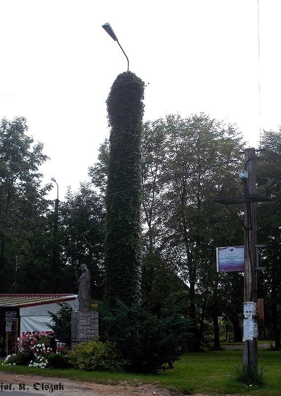 zielona latarnia