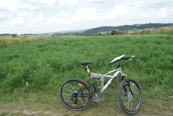 na Gorzków