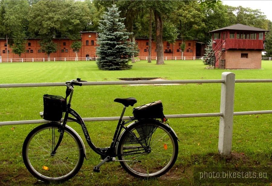 Stadnina ogierów w Starogardzie Gdańskim.