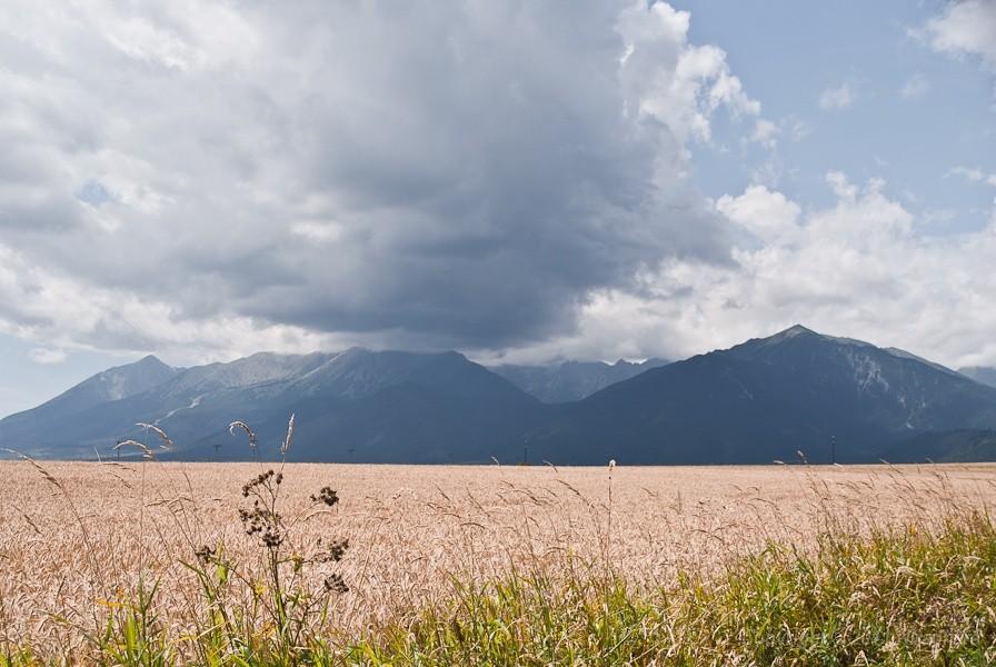 Tatry i rozległe, płaskie pole to zaskakujące zestawienie