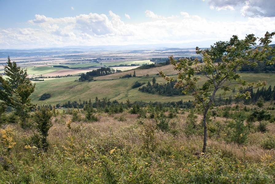 za to widok rozległy