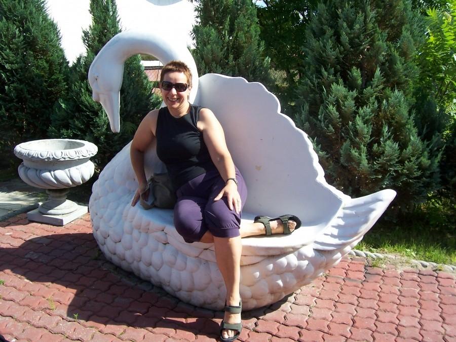 w drodze na wakacje