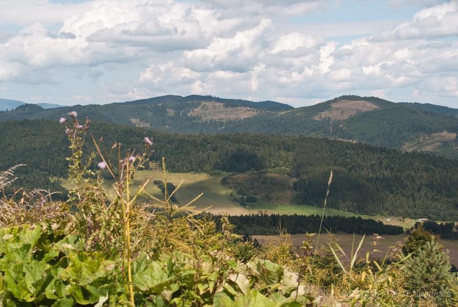 Piotrek pomknął jak strzała, ja czasem zatrzymuję się i pstrykam