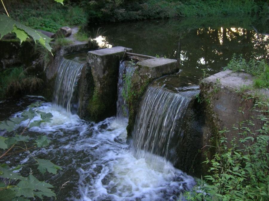stopień