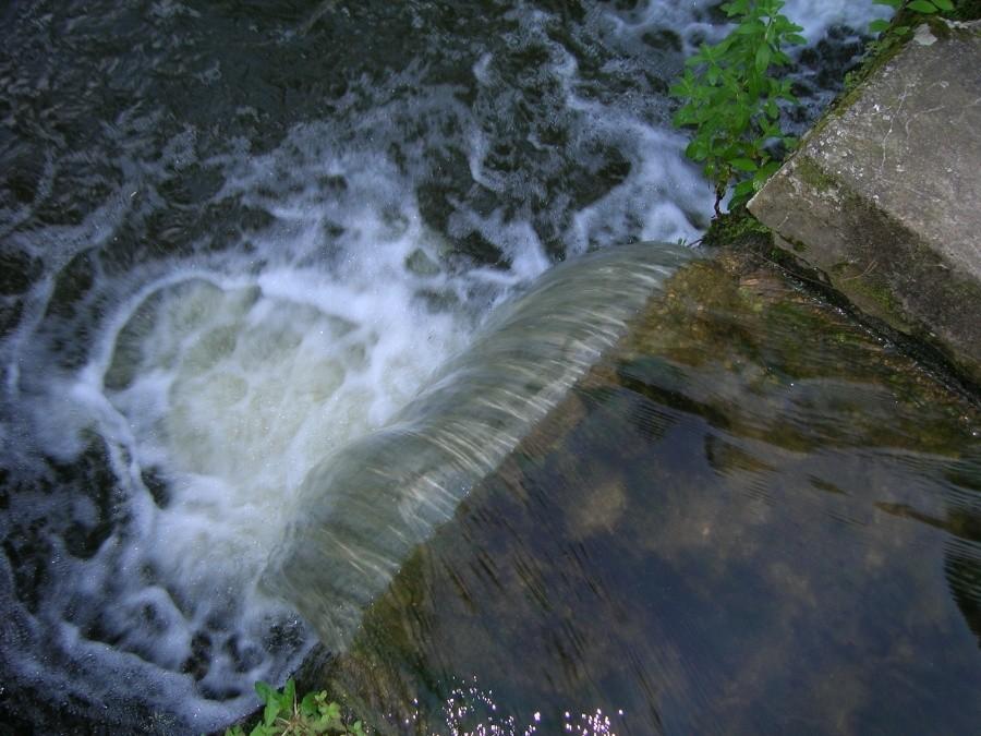 stopień