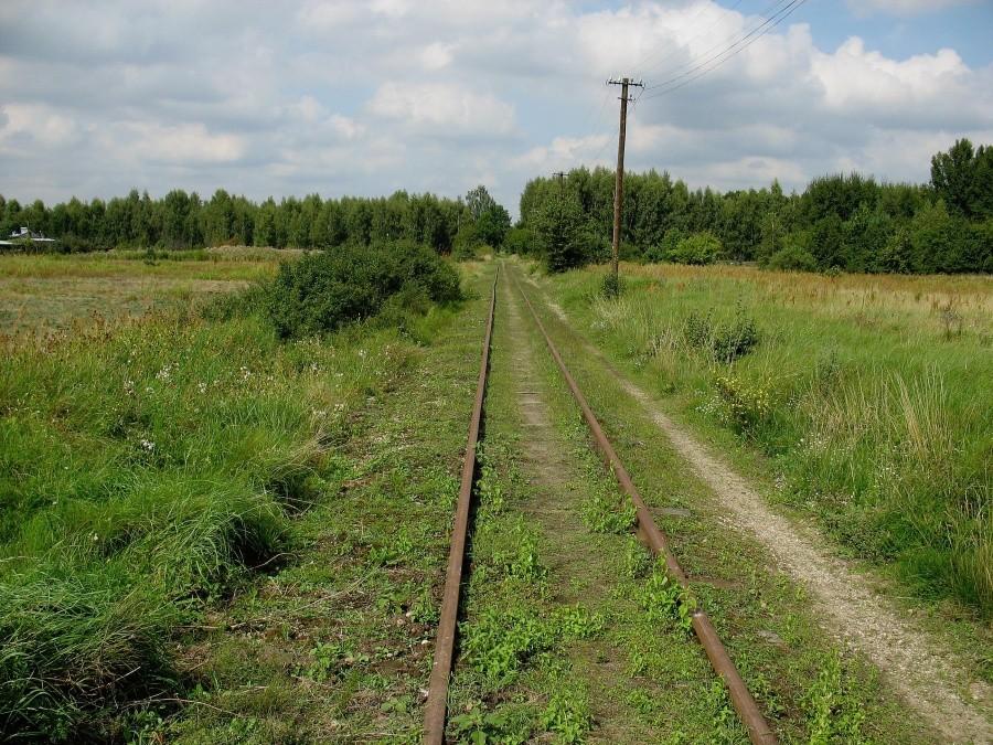 Wąskotorówka do Grójca