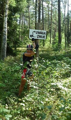 Uwaga żmije!!