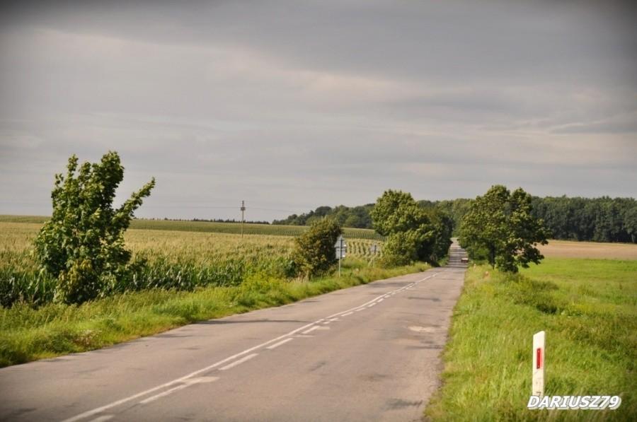 Lubcza droga na jędrzejów 768