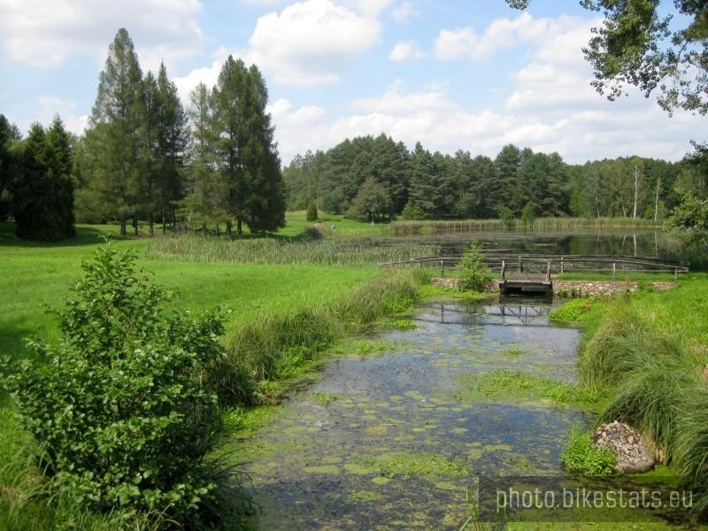 Arboretum leśne w Zielonce.