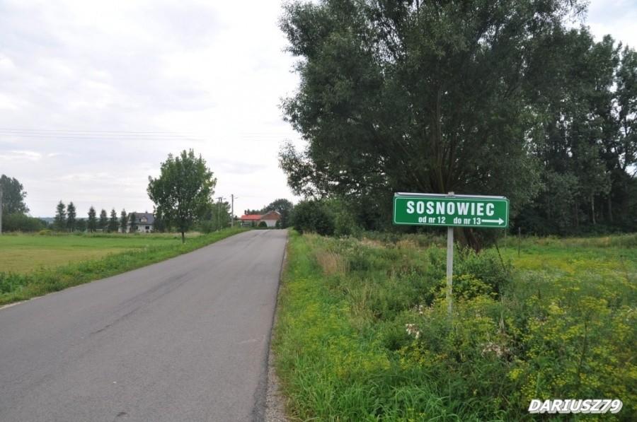 Sosnowiec k/Sędziszowa
