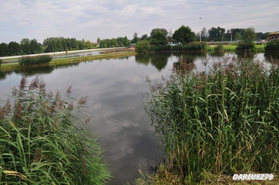 Zalew przy Bazie turystyczno-rekreacyjnej - Sędziszów