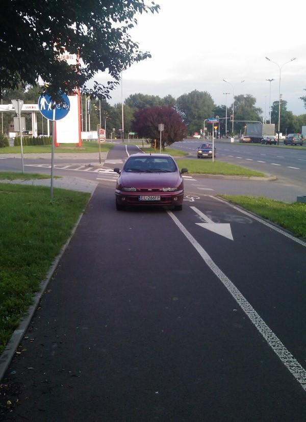 krowa na drodze.