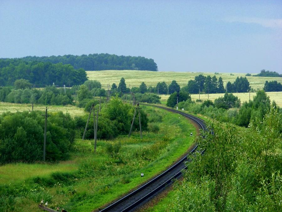 Zielona Ukraina