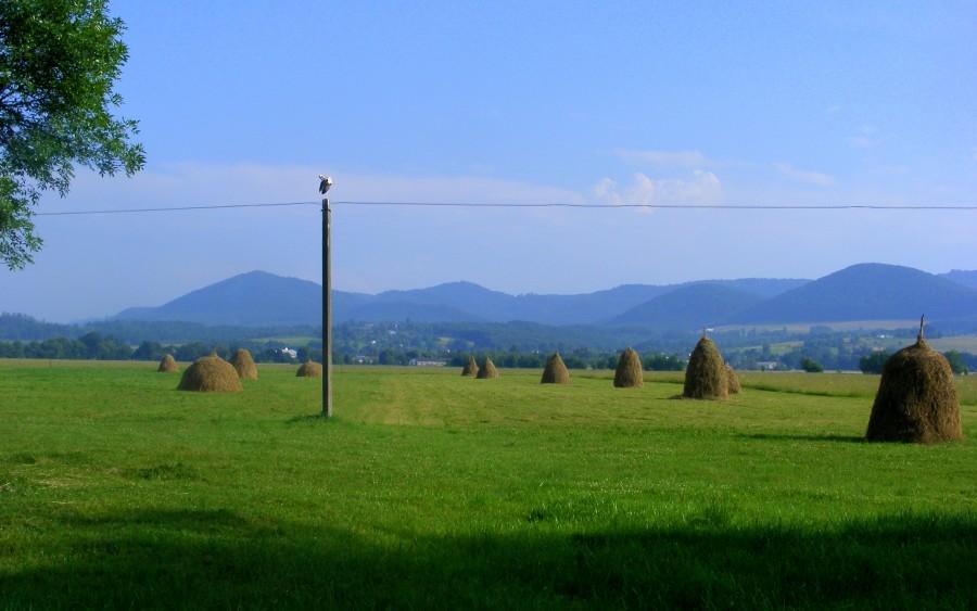 Ładne widoczki na góry
