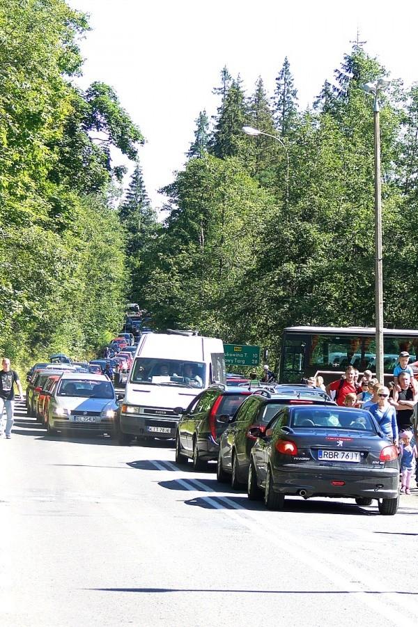 Busiarze mają żer! Przewiozą te tysiące ludzi łamiąc wszystkie przepisy!