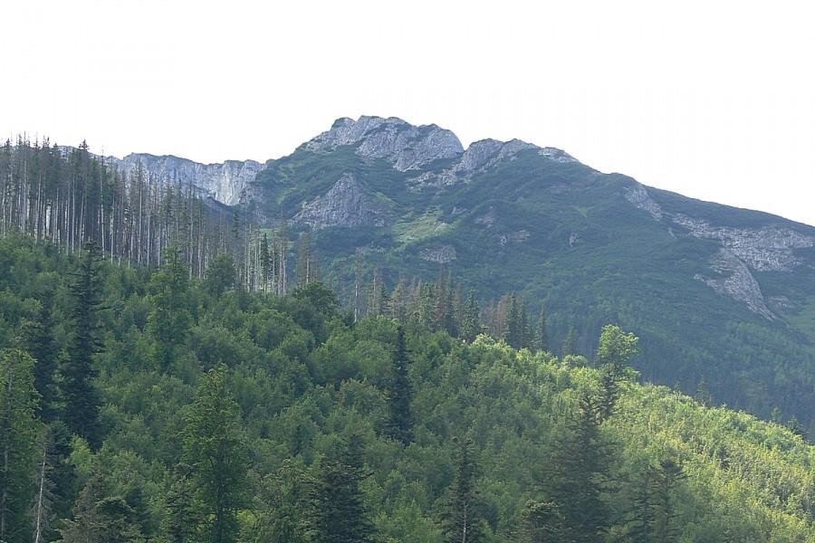 Wjeżdżamy w Tatry Bielskie, jak sama nazwa wskazuje są białe