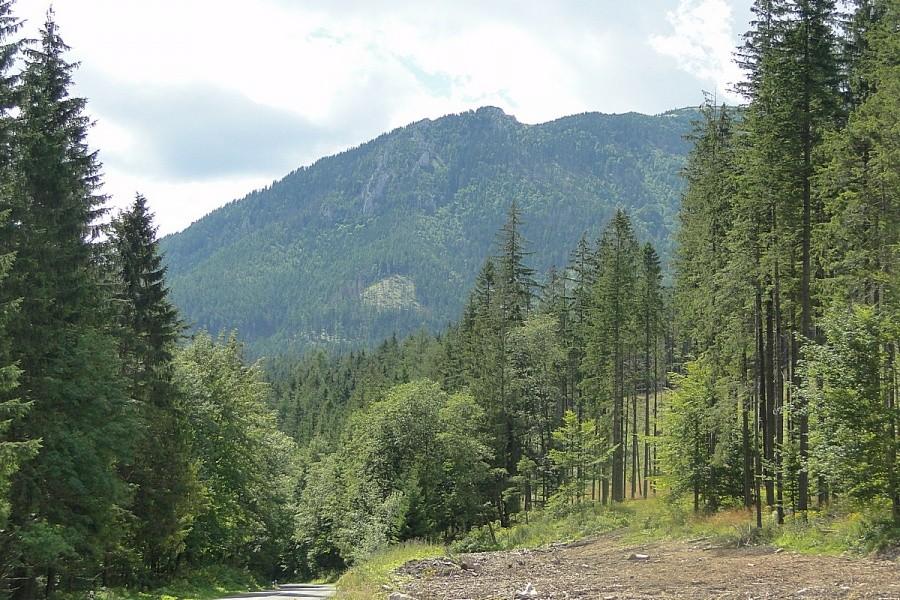 Tatry Bielskie nie są duże, dojeżdżamy do ich końca