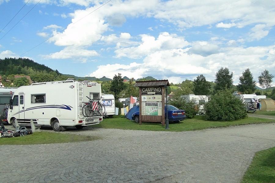Camping Polana Sosny zatłoczony do granic