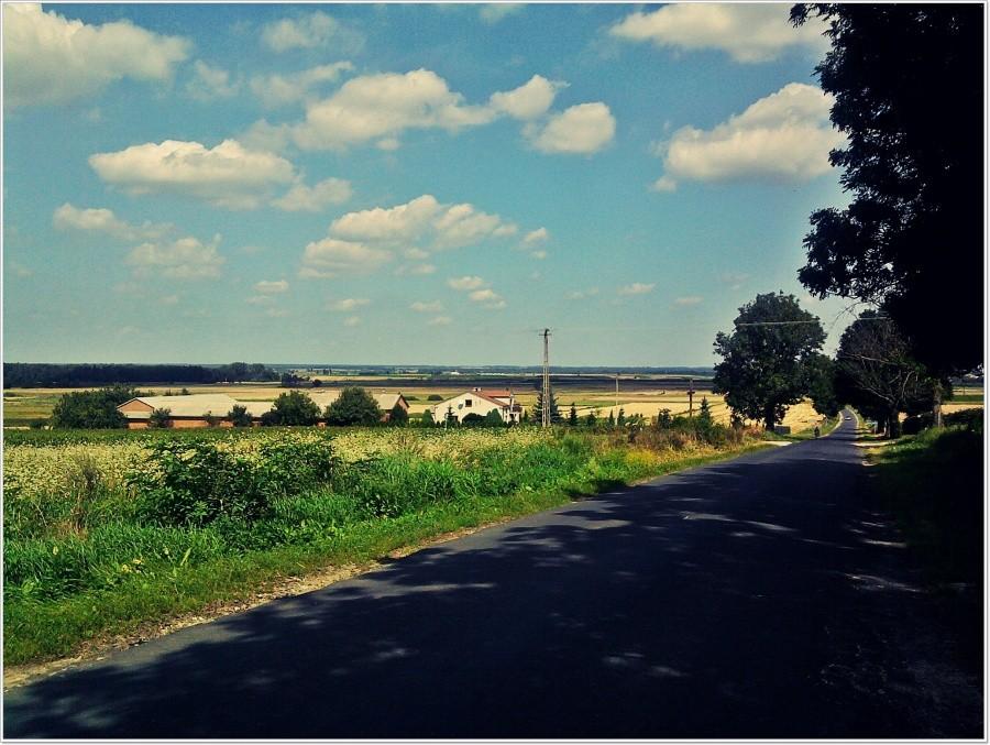 Widok na Kurów