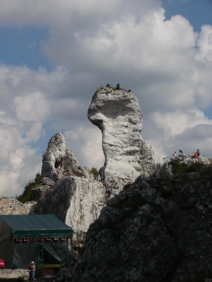 Tam też wchodzą?