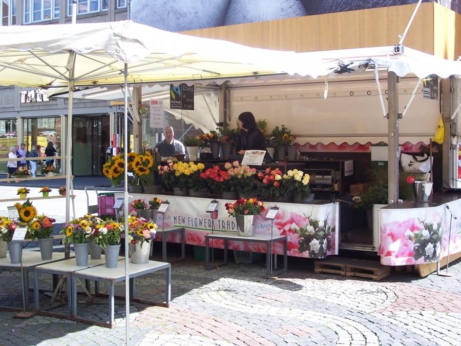 kwiaciarki szwajcarskie
