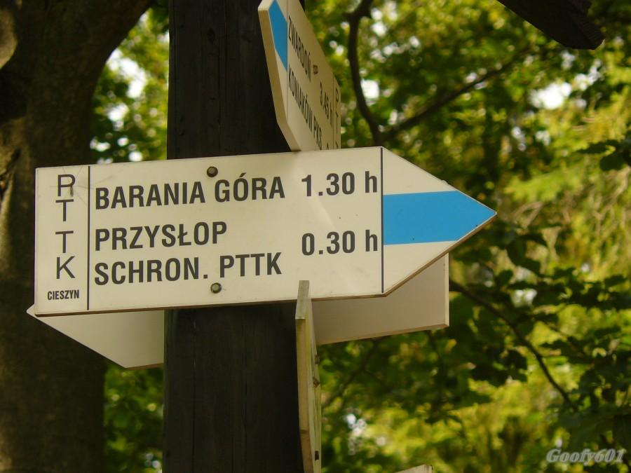 Na szczyt jeszcze daleko.