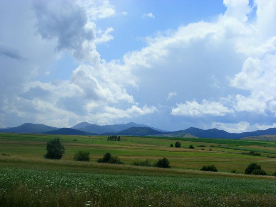 Karpaty