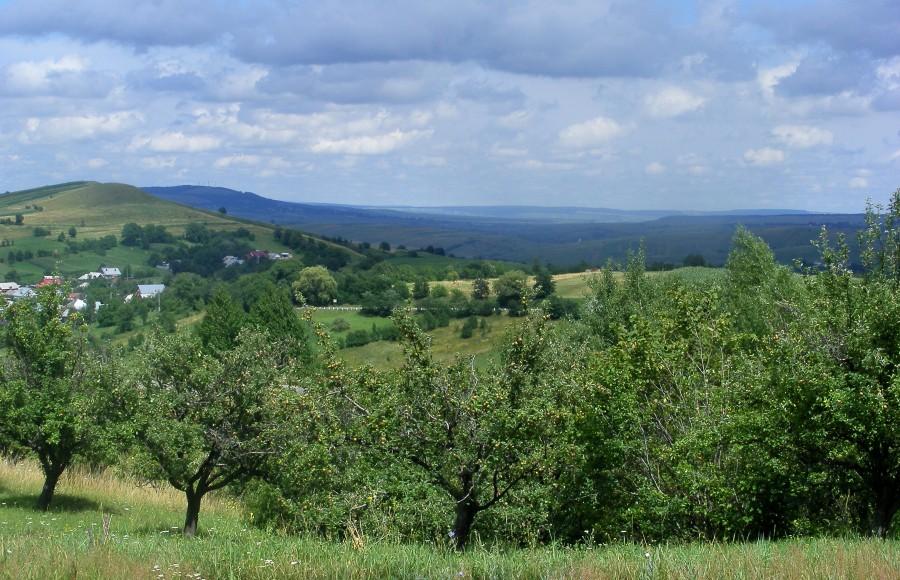 Widoczki w czasie podjazdu