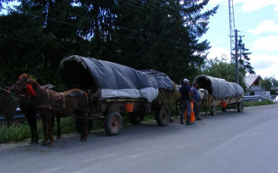 Bryczka to dość często spotykany środek transportu w Rumunii