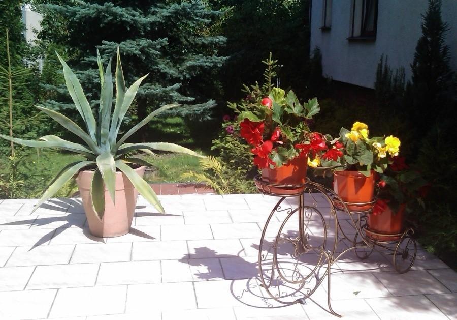 Ogród rowerowy