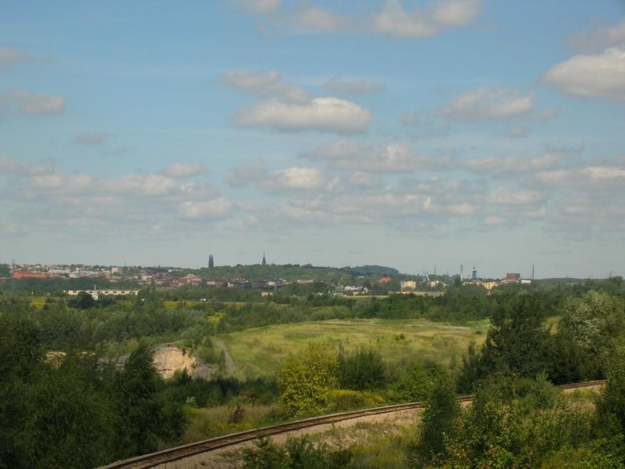 widok