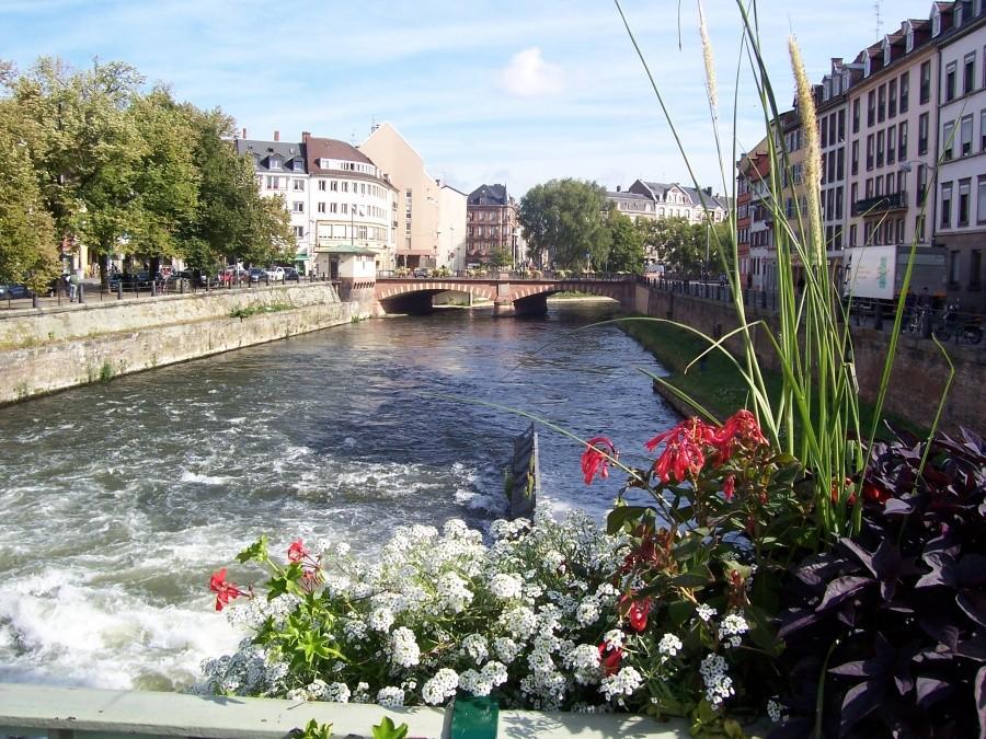 Strasbourg - starówka- petite france