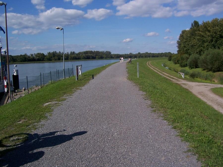 ścieżka rowerowa na wale