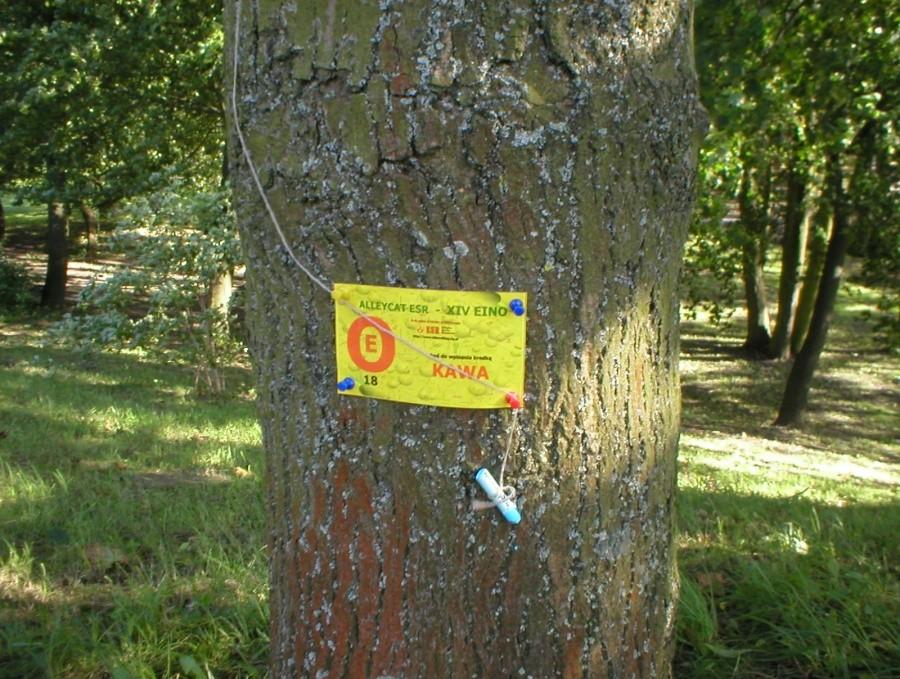 JEDEN Z KREDKOWYCH PUNKTÓW KONTROLNYCH