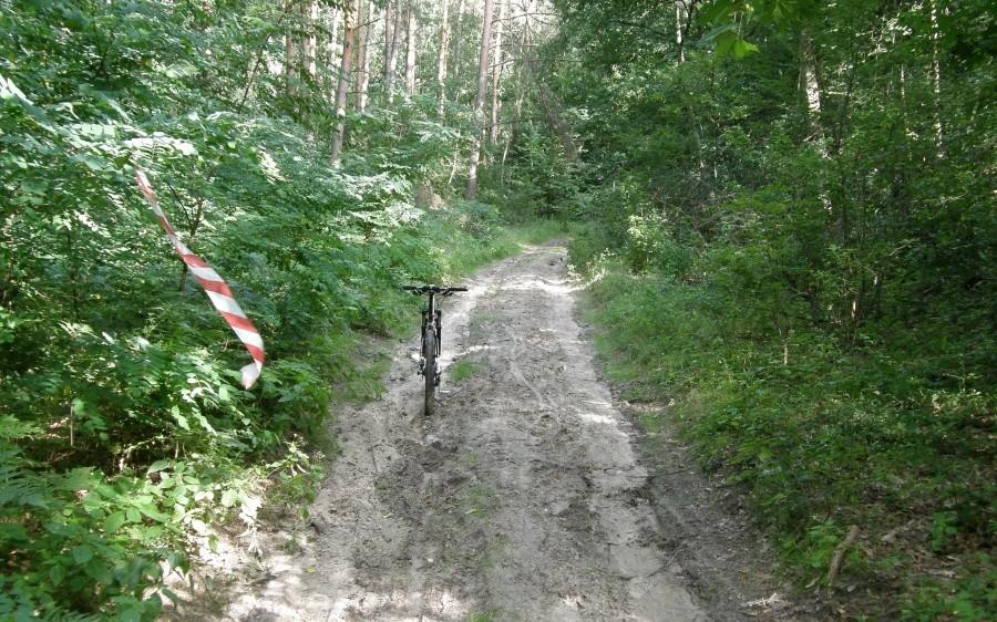 Piaszczysty podjazd. Serio to piachu na trasie nie brakowało