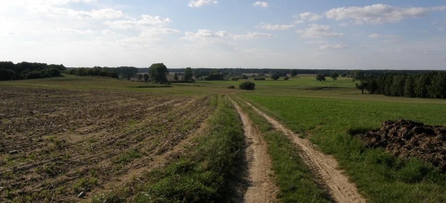 Rosległa otwarta przestrzeń, stąd zarządziłem odwrót do domu