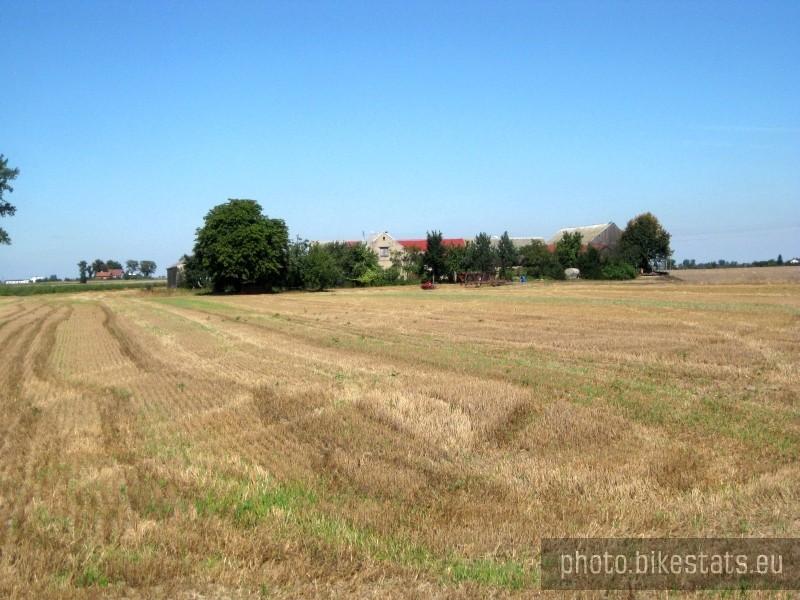 Węglewko - polska wieś latem.