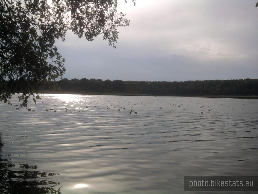 Jezioro Swarzędzkie