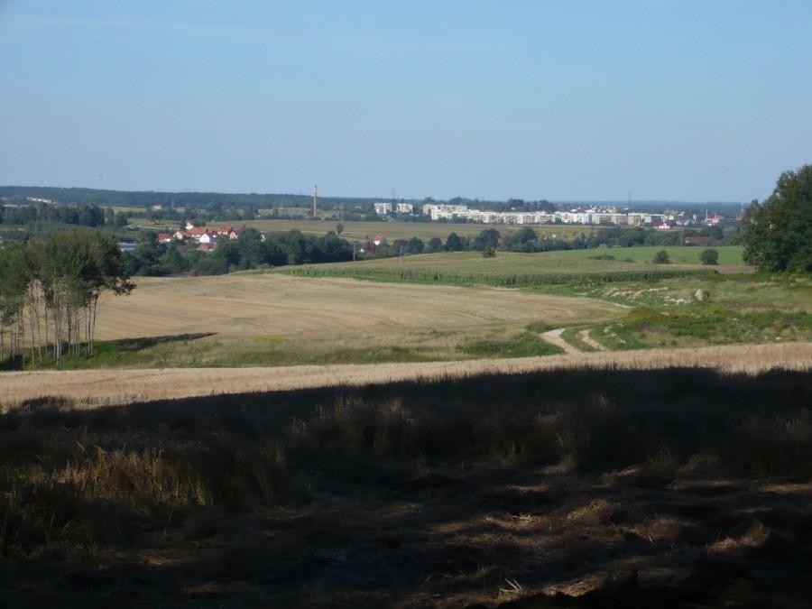Widok na Lubań
