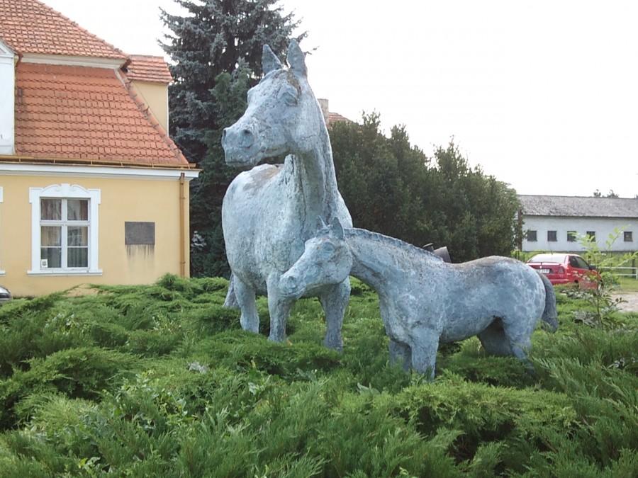 Stadnina w Racocie.Jedyne konie do oglądania.Konie w stanie "stałym"
