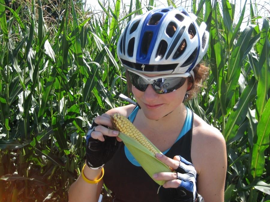 Sweet corn