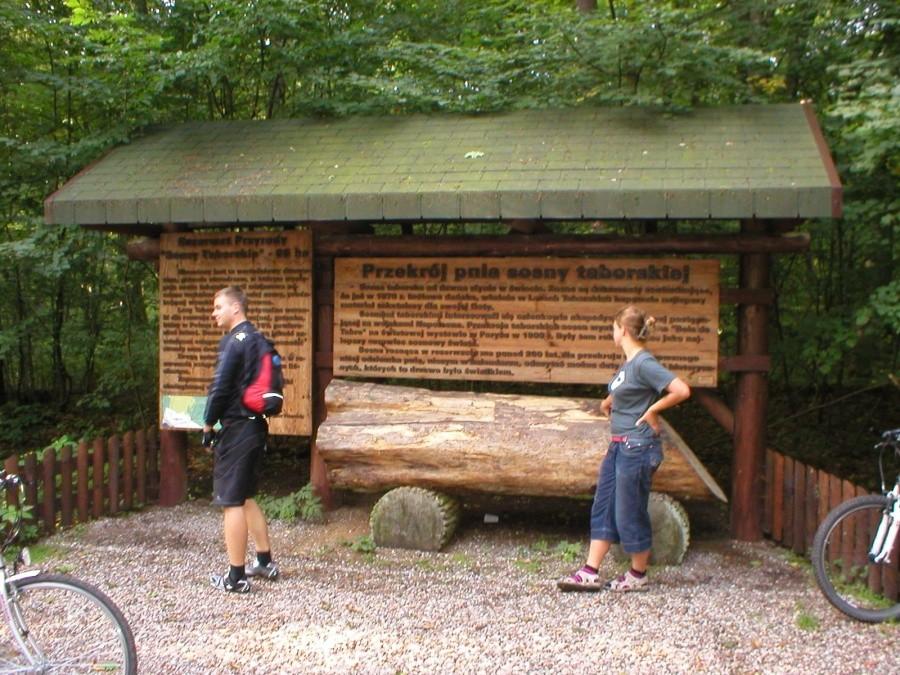 TABÓRZ I REZERWAT SOSNY TABORSKIEJ