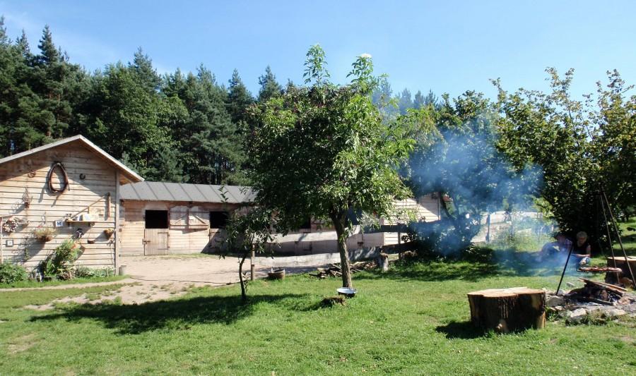 Stajnia, ognisko